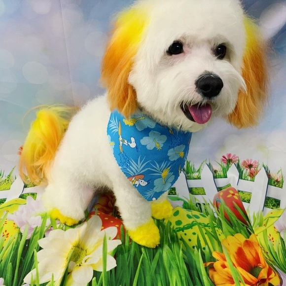 Meet your Posher, Jennifer - Picture 2 of 2